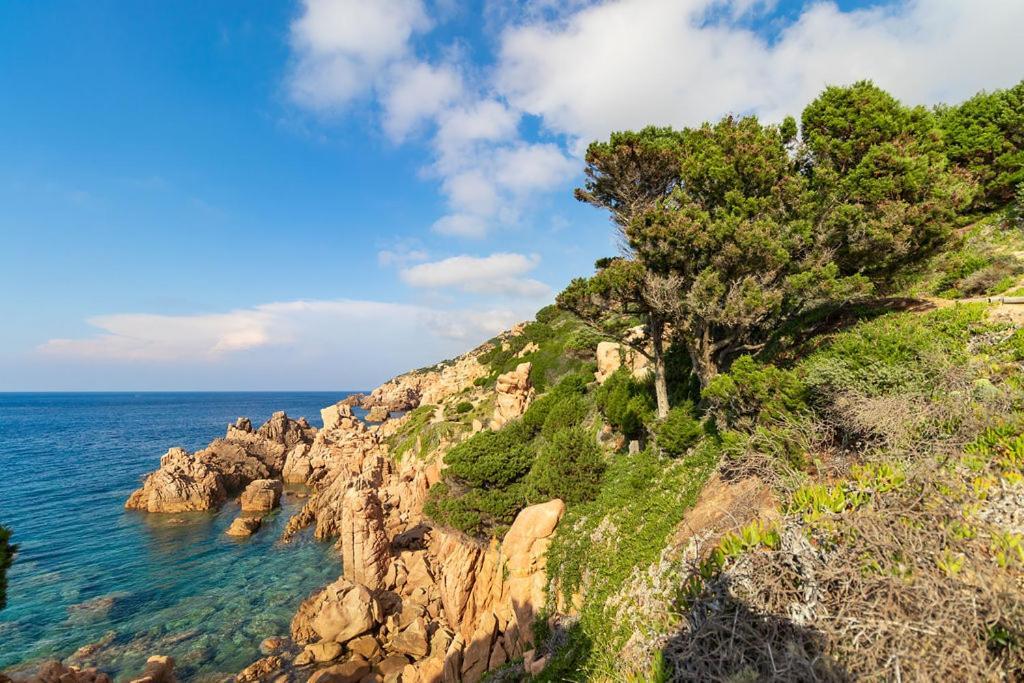 Villa Querida-Infinityholidays Costa Paradiso Exterior foto